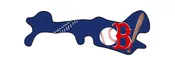 Boston Redsox Style Baseball Doc Band Wrap