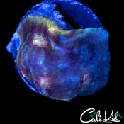 ALIEN EYE CHALICE
