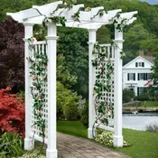 Arbor