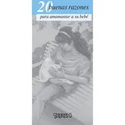 20 Great Reasons to Breastfeed Your Baby Pamphlet, Spanish