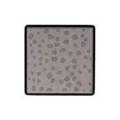 FishSquares: Trout Skin