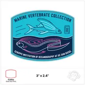 UC San Diego | Scripps Oceanography - Marine Vertebrate Collection in Turquoise 3x2.4"