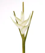45" White Heliconia Stem