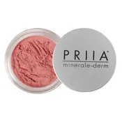 Loose Mineral Blush