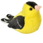 American Goldfinch