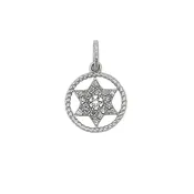 14k 0.05cttw White Gold Star of David Round Rope Pendant
