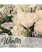 BEAUTIFUL WINTER FLOWERS