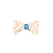 Seersucker Orange &amp; Denim Bowtie