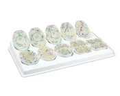 10 Piece Animal Meiosis Model