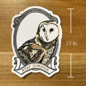 Barn Owl - Stay Curious STICKER — lynn-oleum