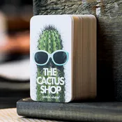 Economy Plastic Business Cards