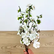 18" Christmas Balsam White