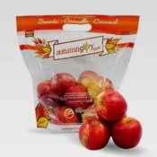 Apple - Autumn Glory