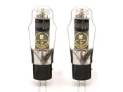 2A3 Vacuum Tube