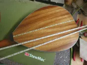 Custom Back/Side: Strip — Big Muddy Mandolin
