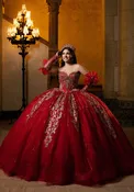 Camilla Quinceañera Dress