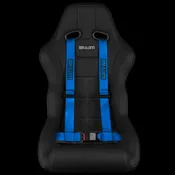 4 PT - Racing Harness 2” Strap
