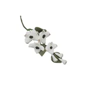 104- Dogwood Spray