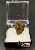 Ammolite #4 Fossil Thumbnail Specimen (Alberta, Canada)
