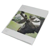 13.0.0.0.0 Tablature Book Hard Copy