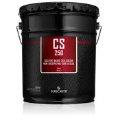 CS 250