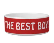 Best Boy pet bowl