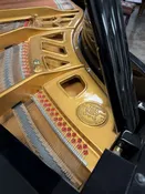Kawai No.500 5’10” big baby grand rebuilt
