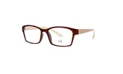 3055 — New Millennium Eyewear