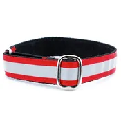 1″ Red Reflective Jingle Free Tag Dog Collar