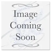008R13036 Waste Toner Bottle