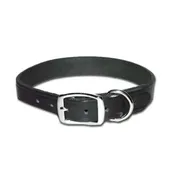 Latigo Collars
