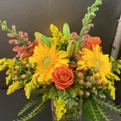 Citrus Splash