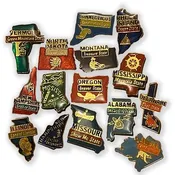 50 Nifty States Vintage Pin