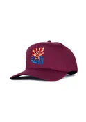 Frame Snapback Hat SFE Distressed Flag | Maroon