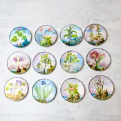 16th Century Botanical Watercolor Magnets | Various Designs