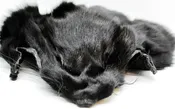 Black Fox Face Pelt — Rest in Pieces