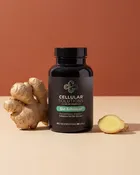 Gut Enhancer™