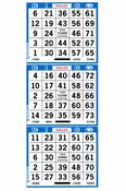 3-Face Vertical Bingo Paper (by the case)