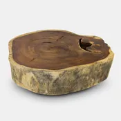 Crosscut Trunk Tamburil