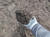 Brady Organic Compost