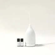 10ml Diffuser Oil - Santal Epicer