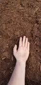 Bark Mulch – Southern