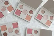 Ashley Sievert The Palette
