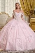 3D Butterfly Ball Gown by Elizabeth K GL3651