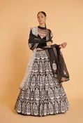 Black Tusser Lehenga