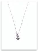 Be a Star Sterling's Necklace