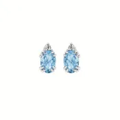 0.04Ctw Diamond & Blue Topaz Birthstone Earrings