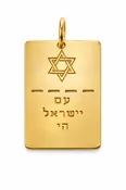 14K Gold Blessings Star of David Tag