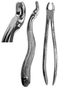 #130 Third Molar Forceps  (Z-1242)