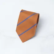 Amber & Cobalt Harrison Stripe Tie by Robert Jensen